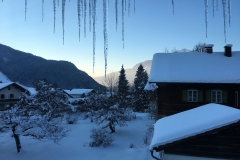 Blick vom Haus nach Westen