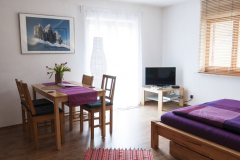 Wohn- und Schlafzimmer