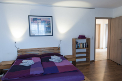 Wohn- und Schlafzimmer