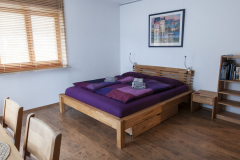 Wohn- und Schlafzimmer