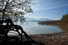 Chiemsee